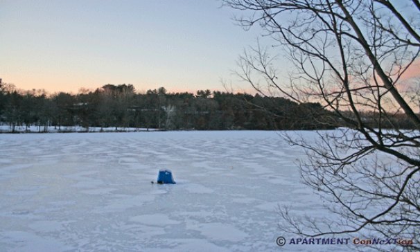 Winter Lake Views from Deck
