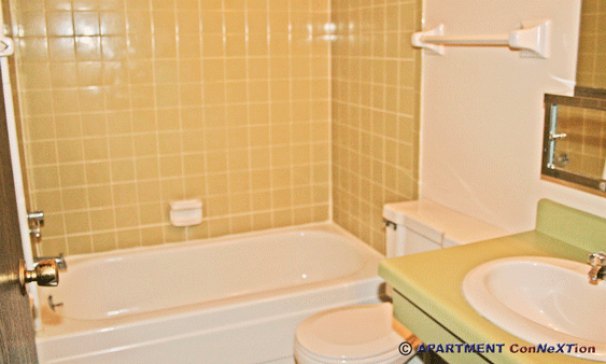 Full Bathroom with Tub/Shower