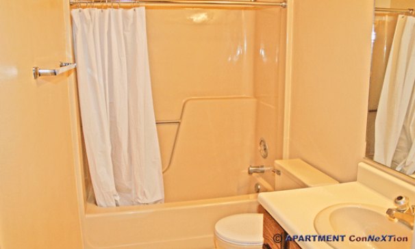 Full Bathroom with Tub/Shower