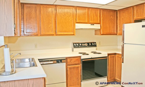Kitchen (View from Back Door Entry)