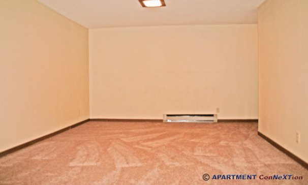 Finished Basement Recreation Room