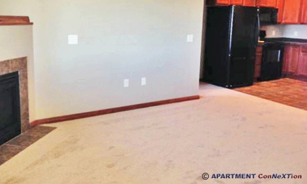 Living Room with Fireplace