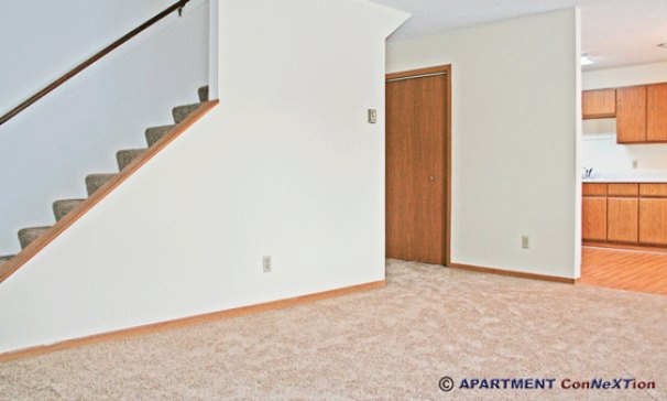 Living Room (view from entry)