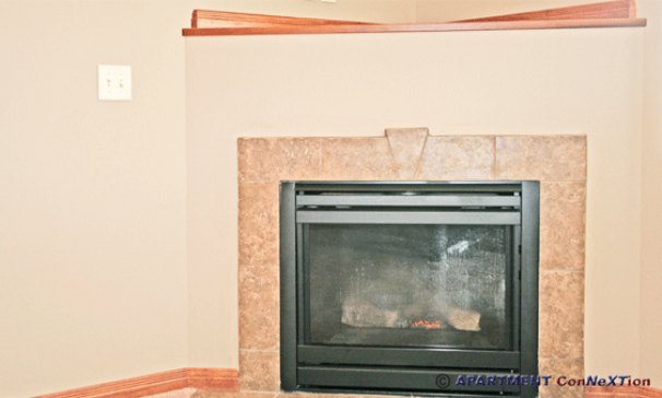 Corner Fireplace
