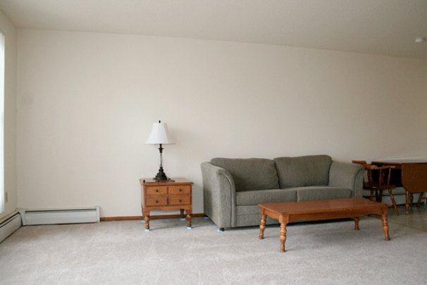Living / Sleeping Room