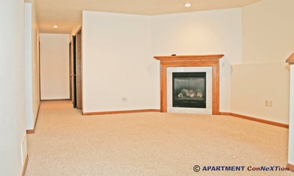 Family Room with Fireplace