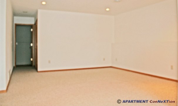 Family Room (View from Entry)